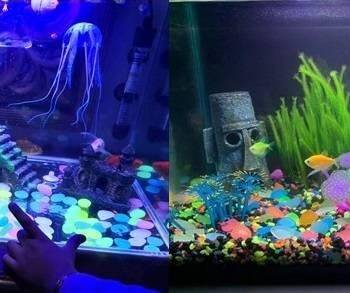 Decorative Luminous Stones Decorative Luminous Stones Garden Homy Farmy https://homyfarmy.com https://homyfarmy.com/decorative-luminous-stones/