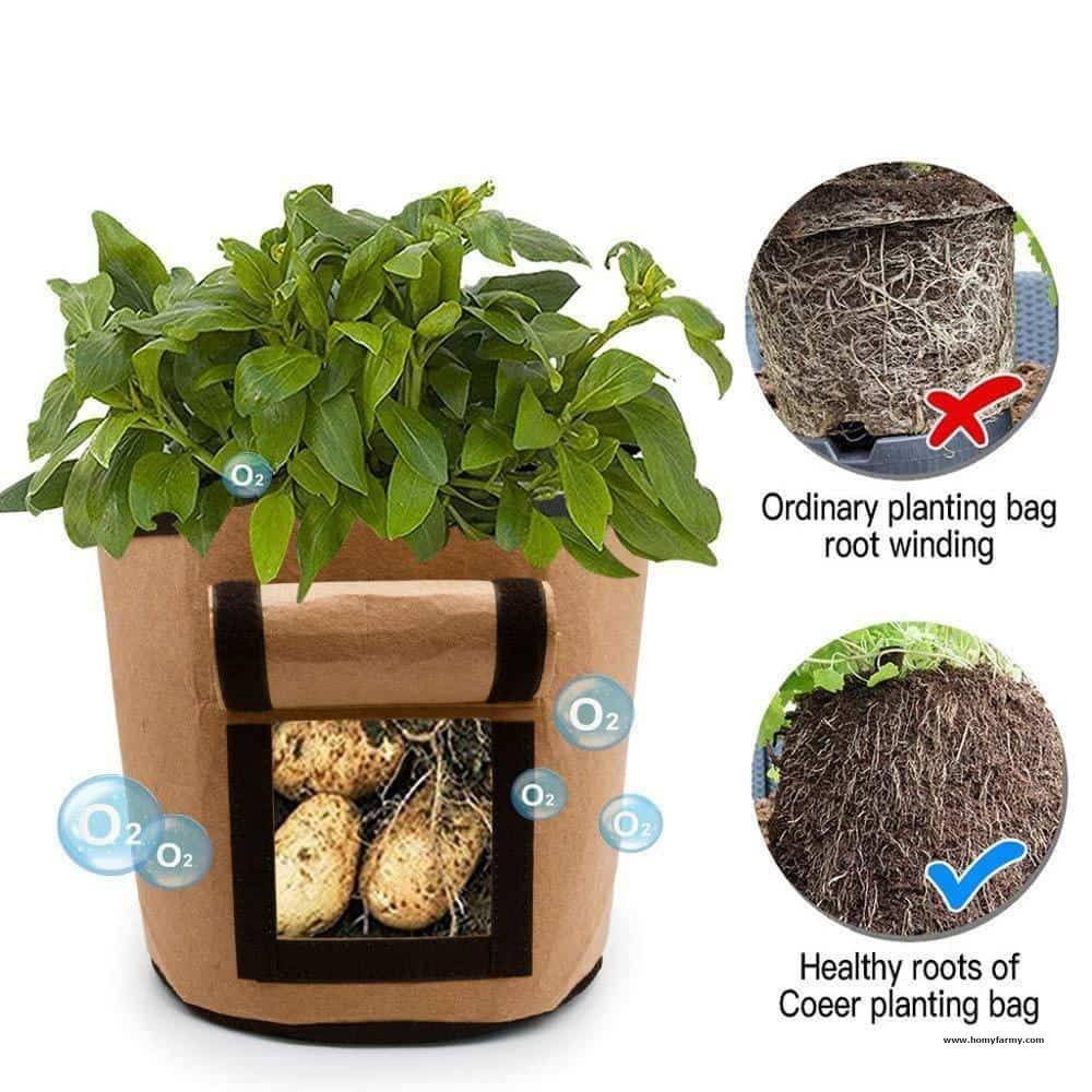 hydroponic grow buckets