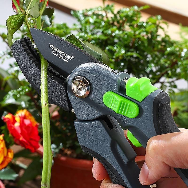Pruning Shears Cutting Tool Pruning Shears Cutting Tool