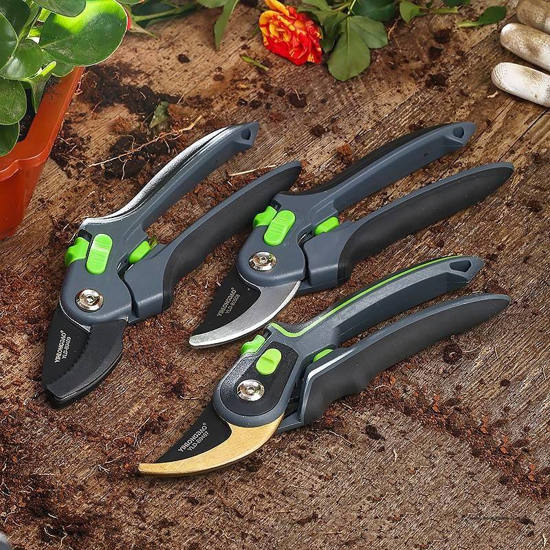 Pruning Shears Cutting Tool Pruning Shears Cutting Tool Garden Homy Farmy https://homyfarmy.com https://homyfarmy.com/pruning-shears-cutting-tool/