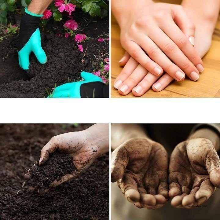 Gardening Gloves With Claws Gardening Gloves With Claws Garden  Homy Farmy https://homyfarmy.com https://homyfarmy.com/gardening-gloves-with-claws/