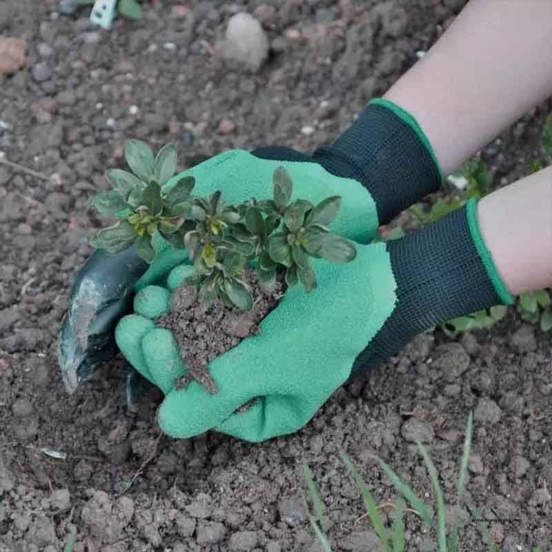 Gardening Gloves With Claws Gardening Gloves With Claws Garden  Homy Farmy https://homyfarmy.com https://homyfarmy.com/gardening-gloves-with-claws/