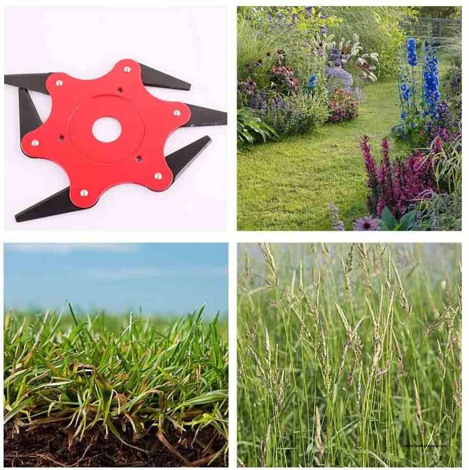 Universal Trimmer Head Universal Trimmer Head Garden Homy Farmy https://homyfarmy.com https://homyfarmy.com/universal-trimmer-head/