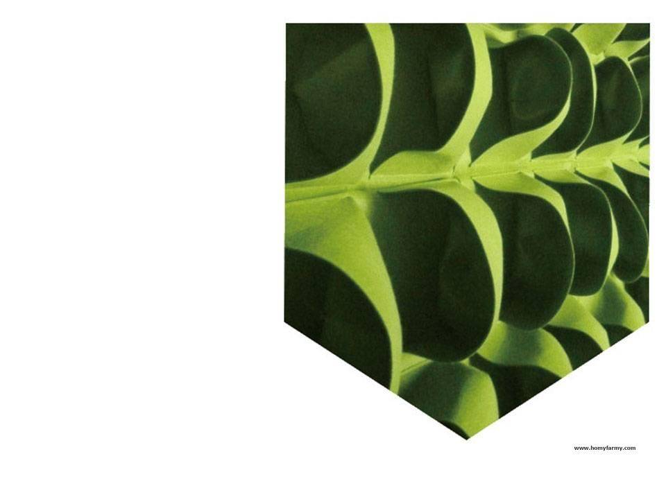 Breathable Wall Hanging Planting Bags Breathable Wall Hanging Planting Bags Garden Homy Farmy https://homyfarmy.com https://homyfarmy.com/breathable-wall-hanging-planting-bags/