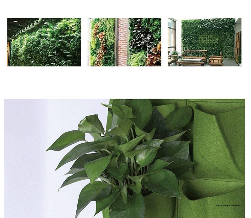 Breathable Wall Hanging Planting Bags Breathable Wall Hanging Planting Bags Garden Homy Farmy https://homyfarmy.com https://homyfarmy.com/breathable-wall-hanging-planting-bags/