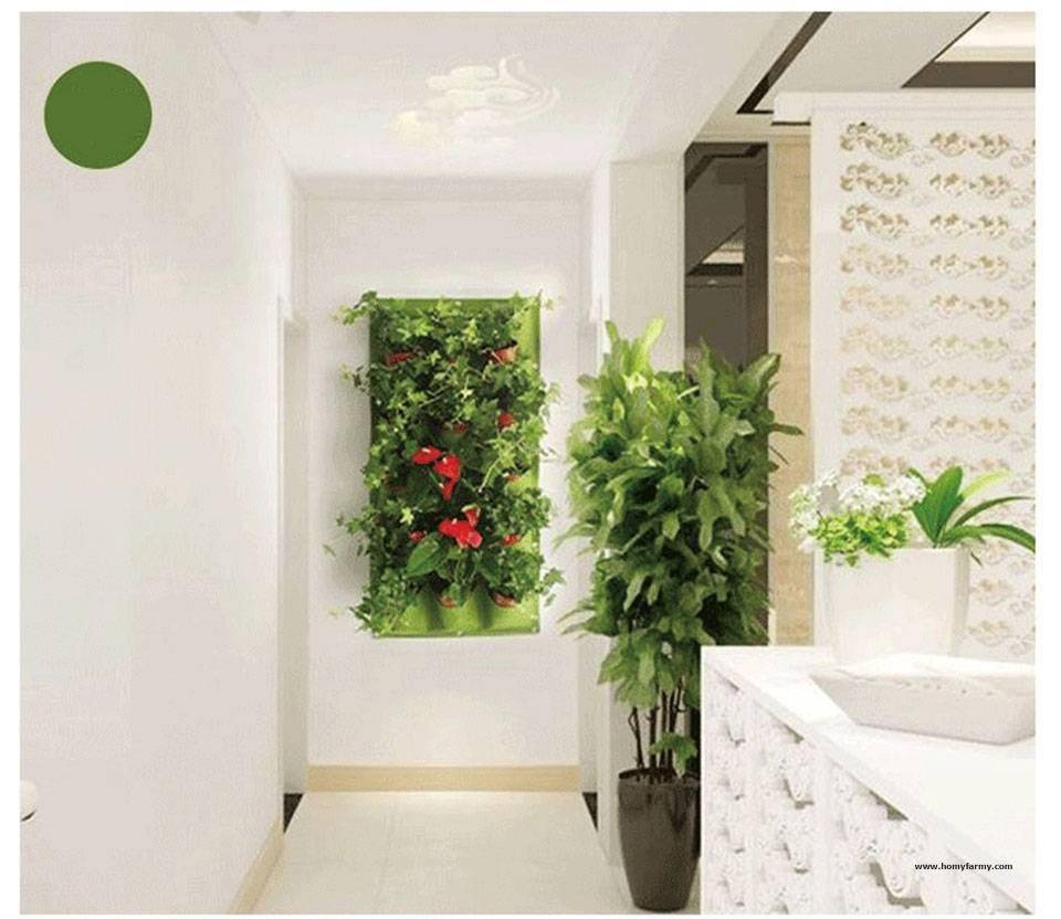 Breathable Wall Hanging Planting Bags Breathable Wall Hanging Planting Bags Garden Homy Farmy https://homyfarmy.com https://homyfarmy.com/breathable-wall-hanging-planting-bags/
