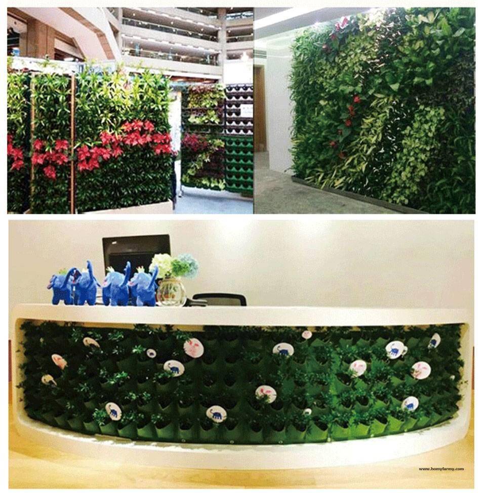 Breathable Wall Hanging Planting Bags Breathable Wall Hanging Planting Bags Garden Homy Farmy https://homyfarmy.com https://homyfarmy.com/breathable-wall-hanging-planting-bags/