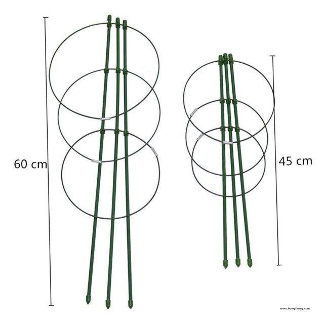 Plant Support Ring Homy Farmy