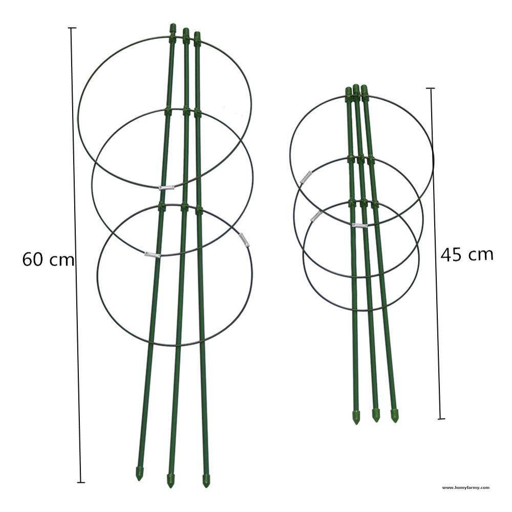 Plant Support Ring Plant Support Ring Garden Homy Farmy https://homyfarmy.com https://homyfarmy.com/plant-support-ring/