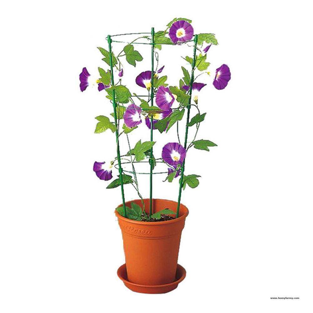 Plant Support Ring Plant Support Ring Garden Homy Farmy https://homyfarmy.com https://homyfarmy.com/plant-support-ring/