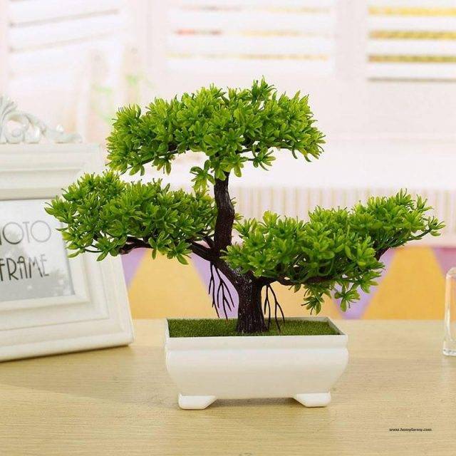 Mini Bonsai Plant Replica