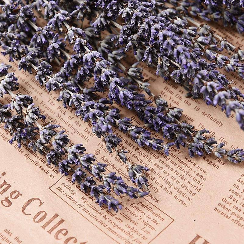 Beautiful Dried Lavender Floral Bouquet Beautiful Dried Lavender Floral Bouquet