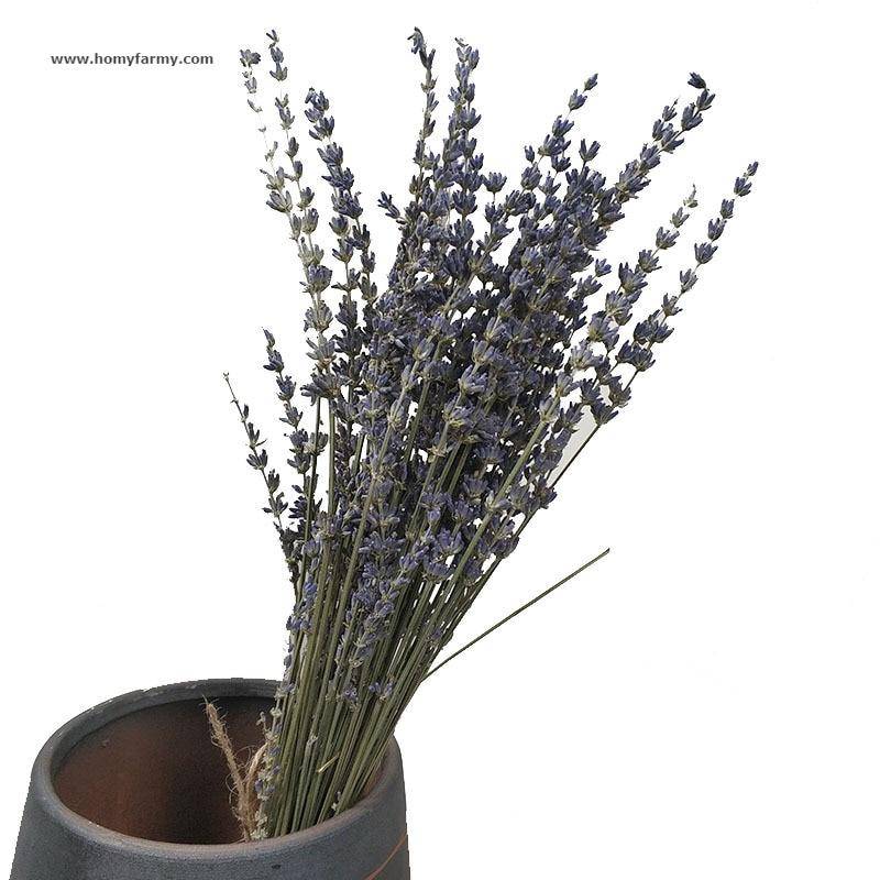 Beautiful Dried Lavender Floral Bouquet Beautiful Dried Lavender Floral Bouquet