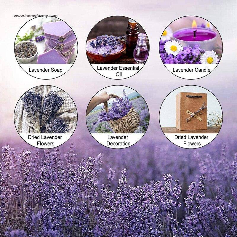 Beautiful Dried Lavender Floral Bouquet Beautiful Dried Lavender Floral Bouquet