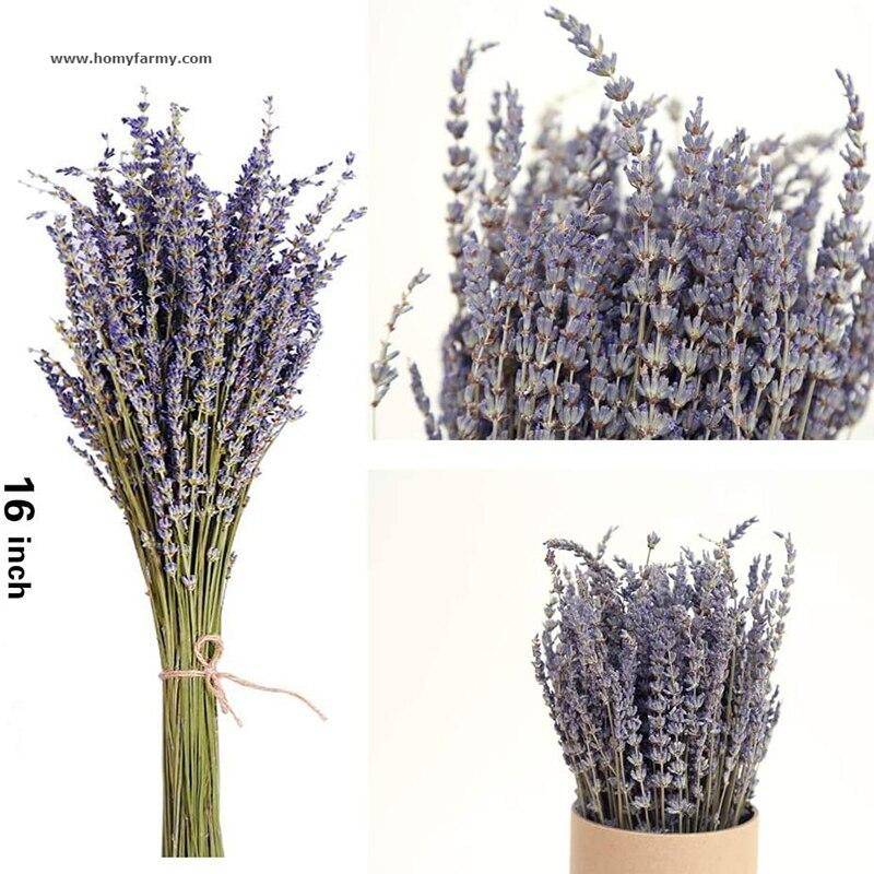 Beautiful Dried Lavender Floral Bouquet Beautiful Dried Lavender Floral Bouquet