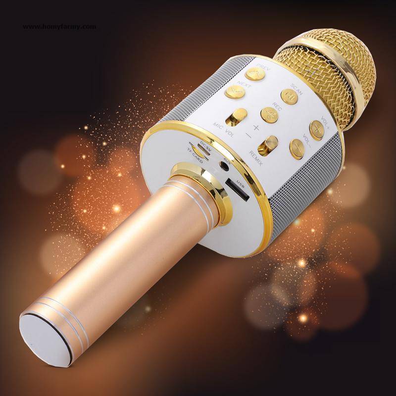 Wireless Karaoke Microphone