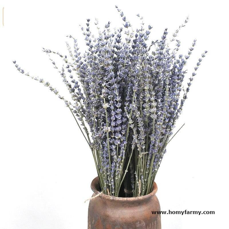 Beautiful Dried Lavender Floral Bouquet