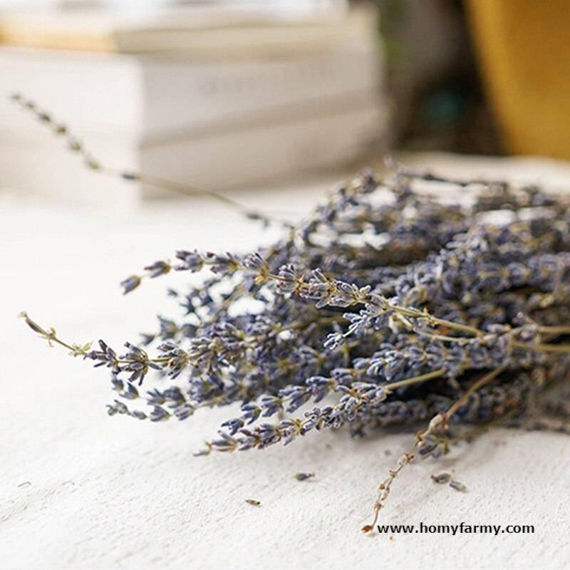 Beautiful Dried Lavender Floral Bouquet Beautiful Dried Lavender Floral Bouquet