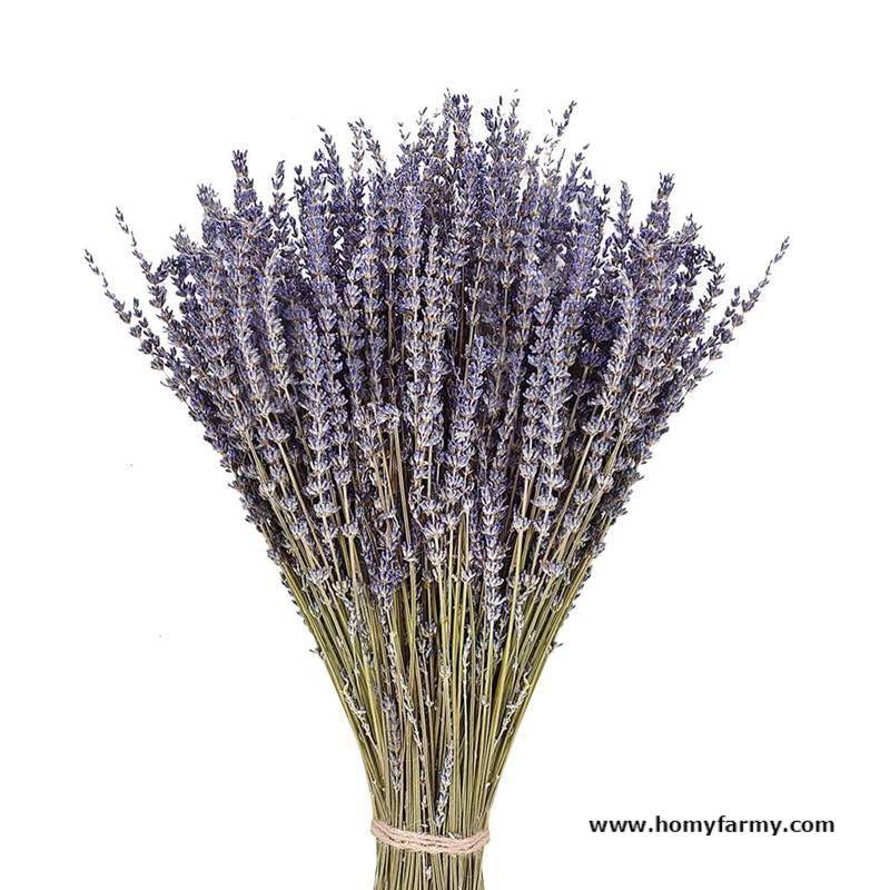 Beautiful Dried Lavender Floral Bouquet Beautiful Dried Lavender Floral Bouquet Decoration Homy Farmy https://homyfarmy.com https://homyfarmy.com/lavender-dried-flower-bouquet/