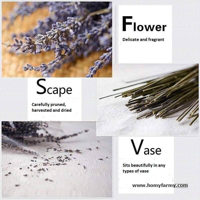Beautiful Dried Lavender Floral Bouquet