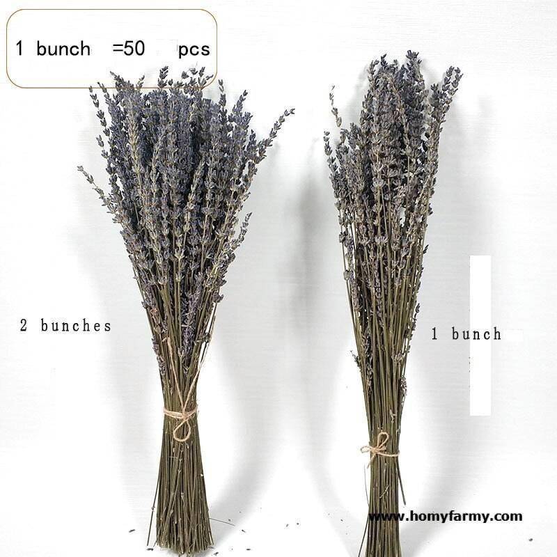 Beautiful Dried Lavender Floral Bouquet Beautiful Dried Lavender Floral Bouquet Decoration Homy Farmy https://homyfarmy.com https://homyfarmy.com/lavender-dried-flower-bouquet/