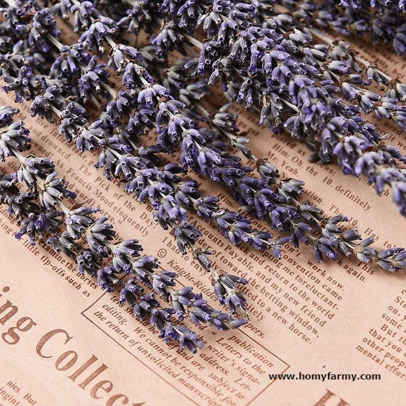 Beautiful Dried Lavender Floral Bouquet Beautiful Dried Lavender Floral Bouquet