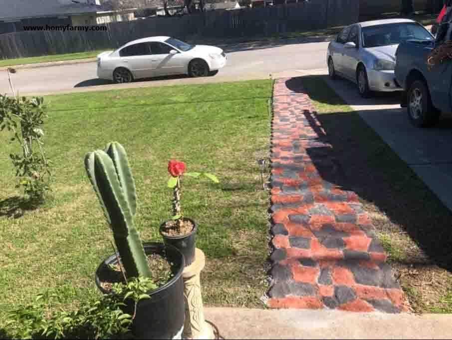 DIY Path Maker Mold DIY Path Maker Mold Garden Home Improvement Homy Farmy https://homyfarmy.com https://homyfarmy.com/diy-path-maker-mold/