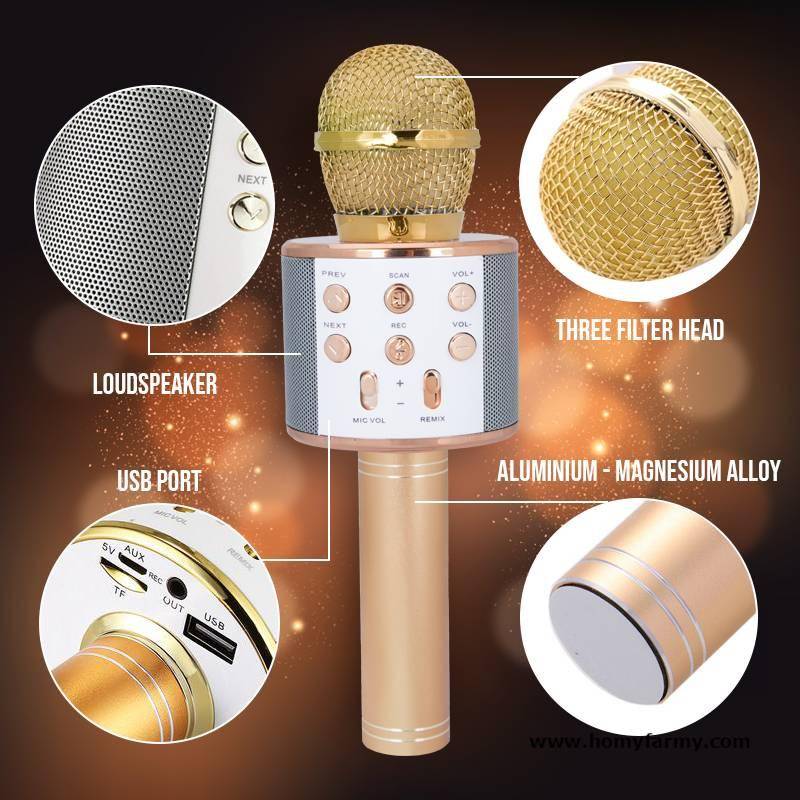 Wireless Karaoke Microphone Wireless Karaoke Microphone Best Sellers Home Improvement Homy Farmy https://homyfarmy.com https://homyfarmy.com/wireless-karaoke-microphone/