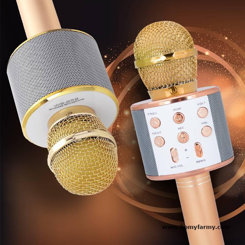 Wireless Karaoke Microphone Wireless Karaoke Microphone Best Sellers Home Improvement Homy Farmy https://homyfarmy.com https://homyfarmy.com/wireless-karaoke-microphone/