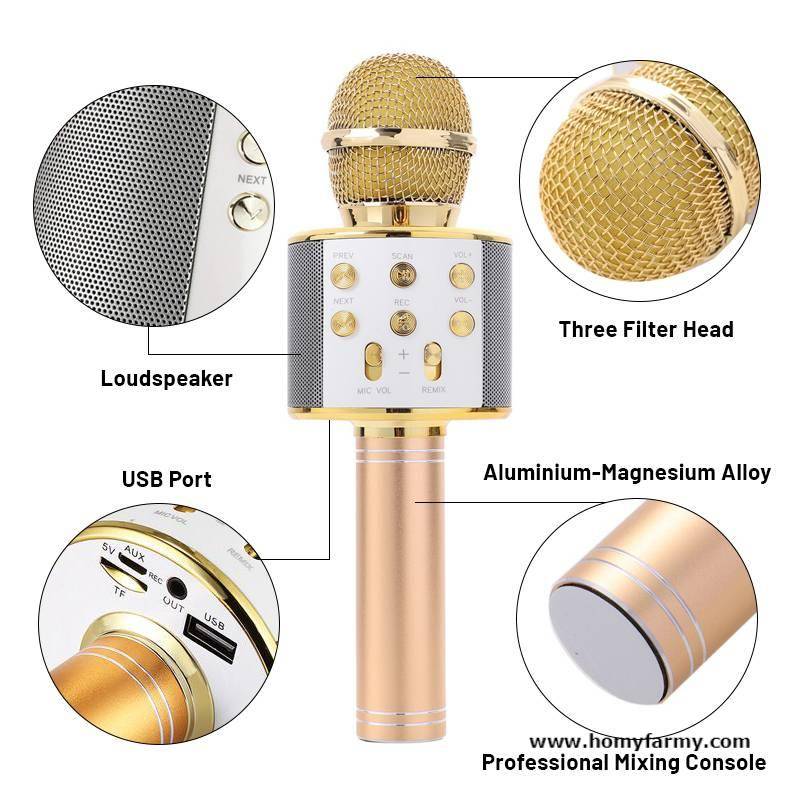 Wster-WS-858-Karaoke-Mike-Wireless-Karaoke-Microphone-img-9-800x800 bluetooth karaoke microphone with speaker