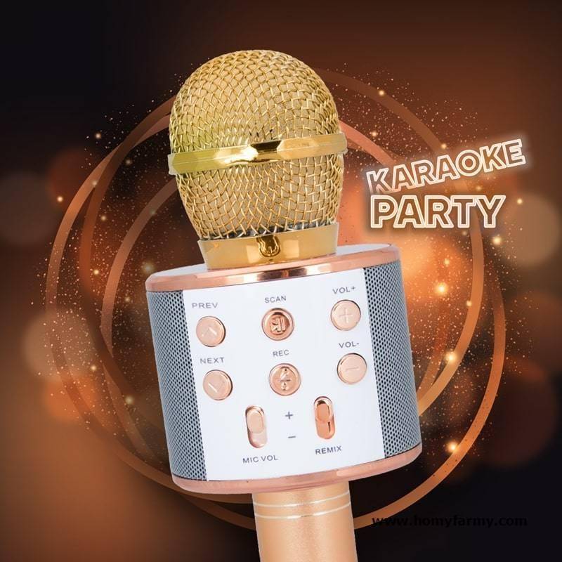 Wireless Karaoke Microphone Wireless Karaoke Microphone