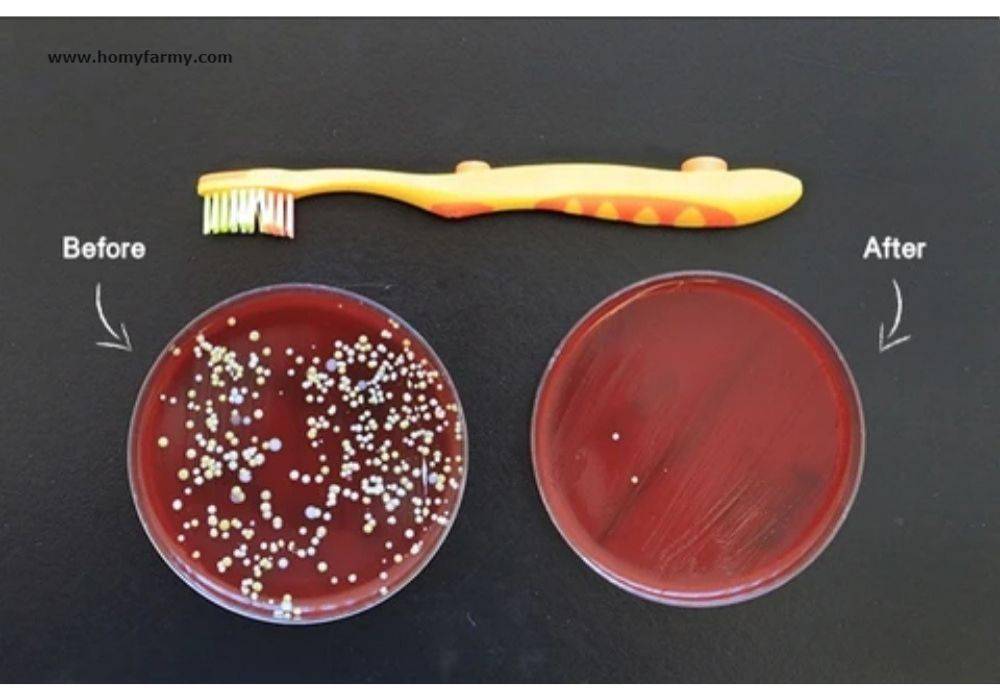 Untitled design (73) antibacterial uv toothbrush holder and sterilizer
