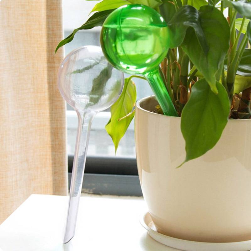 Plant Self-Watering Bulbs