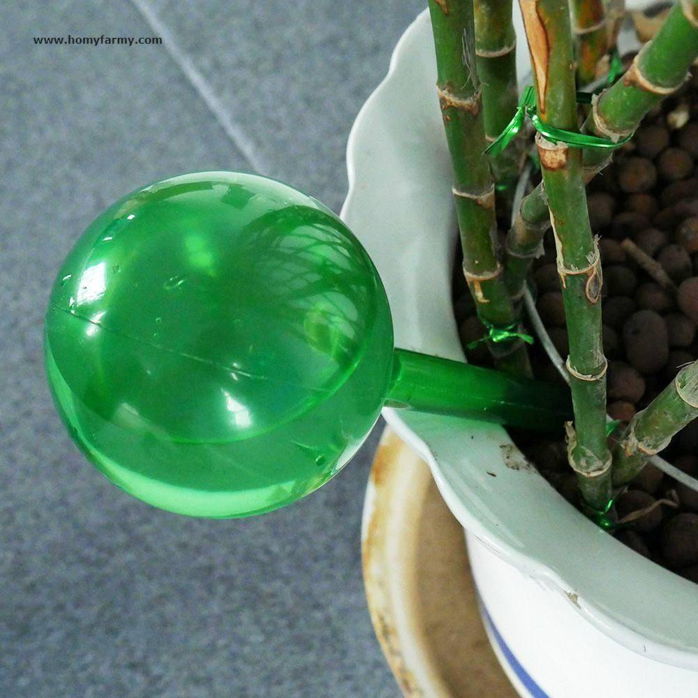 Plant Watering Bulbs Plant Watering Bulbs Best Sellers Garden Home Improvement Homy Farmy https://homyfarmy.com https://homyfarmy.com/plant-watering-bulbs-2/